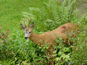 rencontre ferte sous jouarre